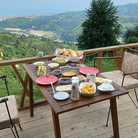 Bed and Breakfast Drosa Bungalov Ardeşen Zewnętrze zdjęcie